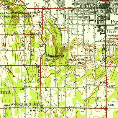 United States Geological Survey Tacoma South, WA (1941, 62500-Scale) digital map