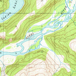 United States Geological Survey Taku River A-5, AK (1951, 63360-Scale) digital map