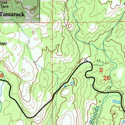 United States Geological Survey Tamarack, CA (2001, 24000-Scale) digital map