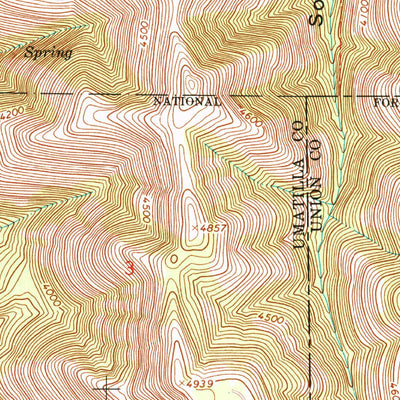 United States Geological Survey Tamarack Gulch, OR (1967, 24000-Scale) digital map