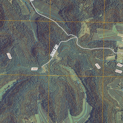United States Geological Survey Tamarack, WI (2010, 24000-Scale) digital map