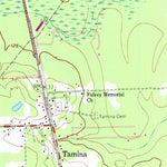 United States Geological Survey Tamina, TX (1961, 24000-Scale) digital map