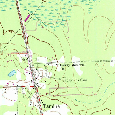 United States Geological Survey Tamina, TX (1961, 24000-Scale) digital map