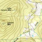 United States Geological Survey Tamworth, NH (1998, 24000-Scale) digital map