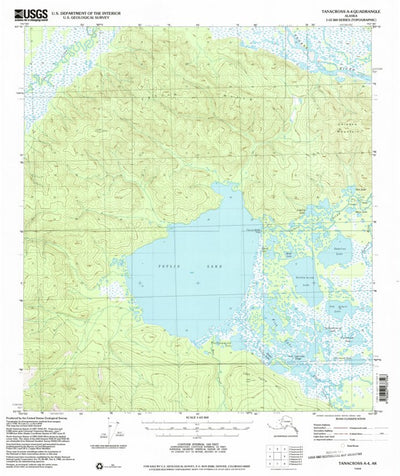 United States Geological Survey Tanacross A-4, AK (1948, 63360-Scale) digital map