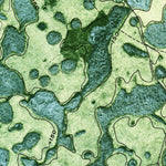 United States Geological Survey Tarver, GA (1971, 24000-Scale) digital map