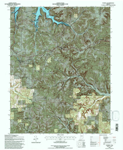 United States Geological Survey Taswell, IN (1993, 24000-Scale) digital map