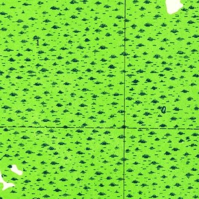 United States Geological Survey Tates Hell Swamp, FL (1945, 24000-Scale) digital map