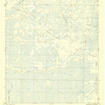 United States Geological Survey Tates Hell Swamp, FL (1945, 31680-Scale) digital map