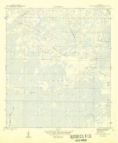United States Geological Survey Tates Hell Swamp, FL (1945, 31680-Scale) digital map