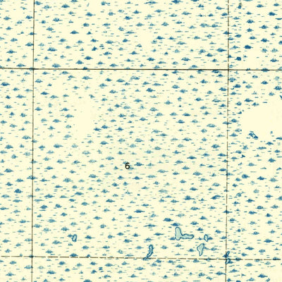 United States Geological Survey Tates Hell Swamp, FL (1945, 31680-Scale) digital map