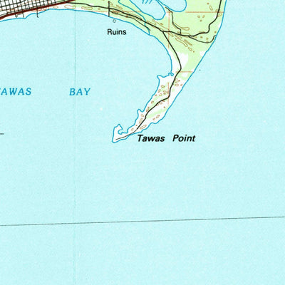 United States Geological Survey Tawas City, MI (1984, 100000-Scale) digital map