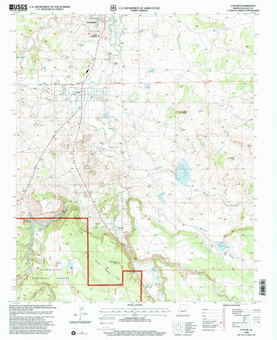 United States Geological Survey Taylor, AZ (1998, 24000-Scale) digital map