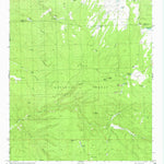 United States Geological Survey Taylor Peak, NM (1981, 24000-Scale) digital map