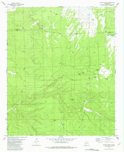 United States Geological Survey Taylor Peak, NM (1981, 24000-Scale) digital map