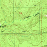 United States Geological Survey Taylor Peak, NM (1981, 24000-Scale) digital map