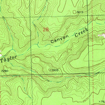 United States Geological Survey Taylor Peak, NM (1981, 24000-Scale) digital map