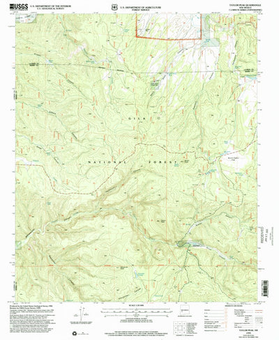 United States Geological Survey Taylor Peak, NM (1999, 24000-Scale) digital map