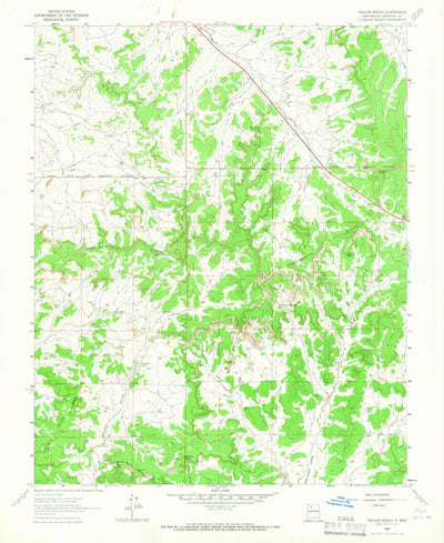 United States Geological Survey Taylor Ranch, NM (1963, 24000-Scale) digital map