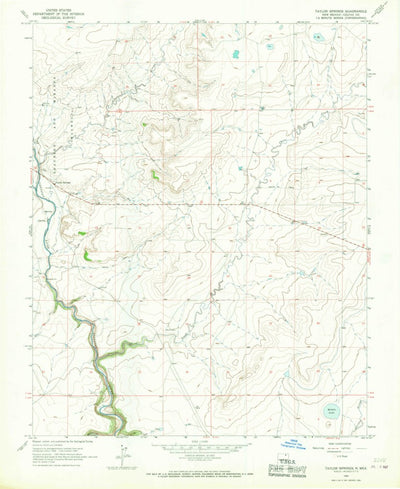 United States Geological Survey Taylor Springs, NM (1965, 24000-Scale) digital map