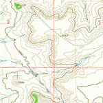 United States Geological Survey Taylor Springs, NM (1965, 24000-Scale) digital map