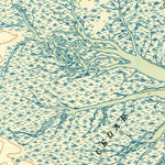 United States Geological Survey Taylors Bridge, DE-NJ (1950, 24000-Scale) digital map