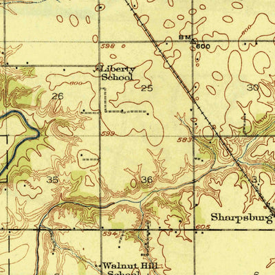 United States Geological Survey Taylorville, IL (1925, 62500-Scale) digital map