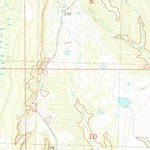 United States Geological Survey Tchula, MS (1982, 24000-Scale) digital map