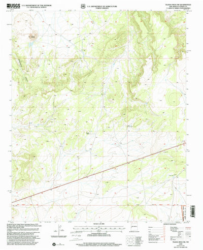 United States Geological Survey Tejana Mesa SW, NM (1999, 24000-Scale) digital map