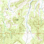 United States Geological Survey Tejana Mesa SW, NM (1999, 24000-Scale) digital map