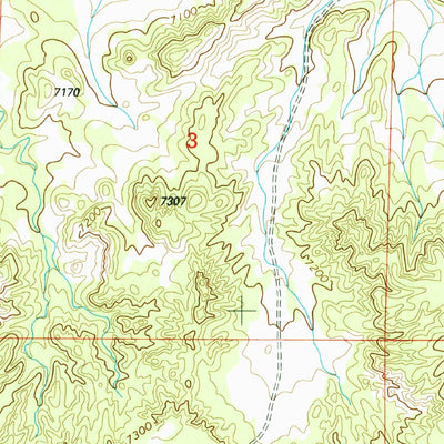 United States Geological Survey Tejana Mesa SW, NM (1999, 24000-Scale) digital map
