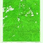 United States Geological Survey Telogia, FL (1945, 24000-Scale) digital map
