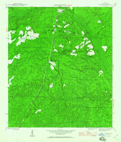 United States Geological Survey Telogia, FL (1945, 24000-Scale) digital map