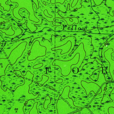 United States Geological Survey Telogia, FL (1945, 24000-Scale) digital map