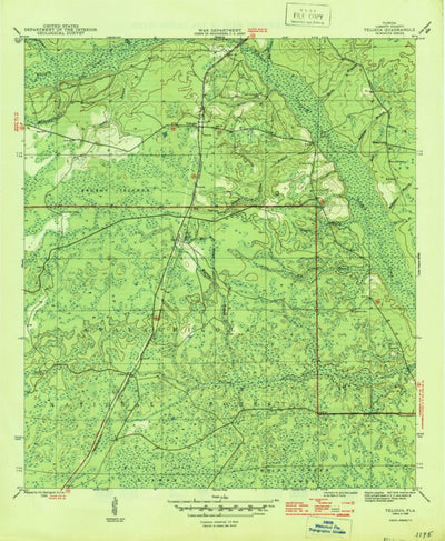 United States Geological Survey Telogia, FL (1946, 31680-Scale) digital map