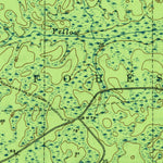 United States Geological Survey Telogia, FL (1946, 31680-Scale) digital map