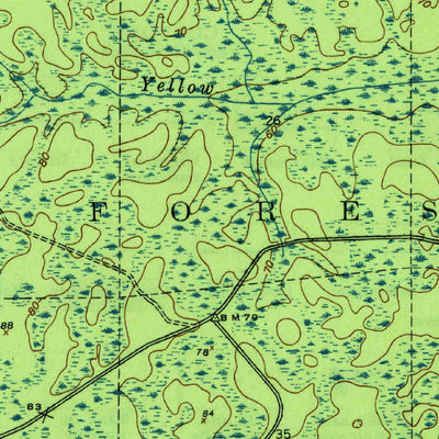 United States Geological Survey Telogia, FL (1946, 31680-Scale) digital map