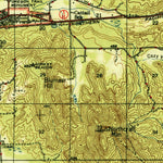 United States Geological Survey Tenino, WA (1944, 62500-Scale) digital map