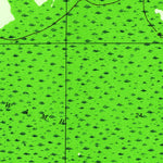 United States Geological Survey Tenmile Swamp, FL (1945, 24000-Scale) digital map