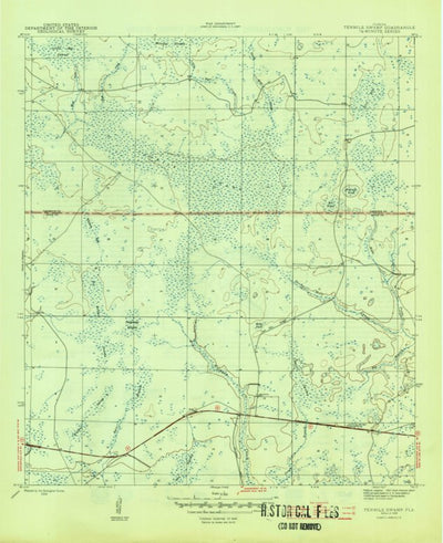United States Geological Survey Tenmile Swamp, FL (1945, 31680-Scale) digital map