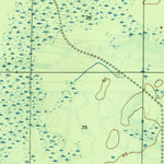 United States Geological Survey Tenmile Swamp, FL (1945, 31680-Scale) digital map