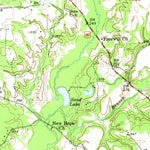 United States Geological Survey Tennessee Colony, TX (1949, 62500-Scale) digital map