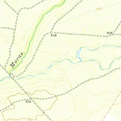 United States Geological Survey Tequesquite Spring, TX (1978, 24000-Scale) digital map