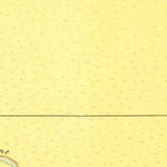 United States Geological Survey Terminous, CA (1910, 31680-Scale) digital map