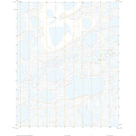 United States Geological Survey Teshekpuk A-1 NE, AK (2020, 25000-Scale) digital map