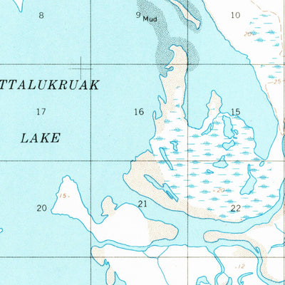 United States Geological Survey Teshekpuk D-4, AK (1955, 63360-Scale) digital map