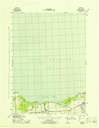 United States Geological Survey Texas, NY (1943, 31680-Scale) digital map