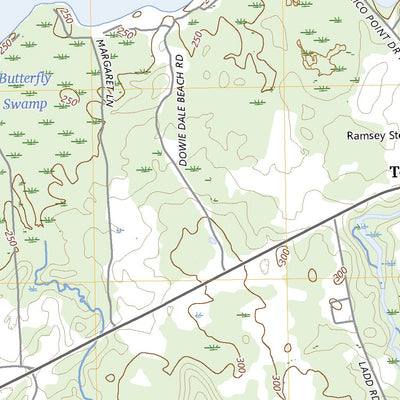 United States Geological Survey Texas, NY (2023, 24000-Scale) digital map