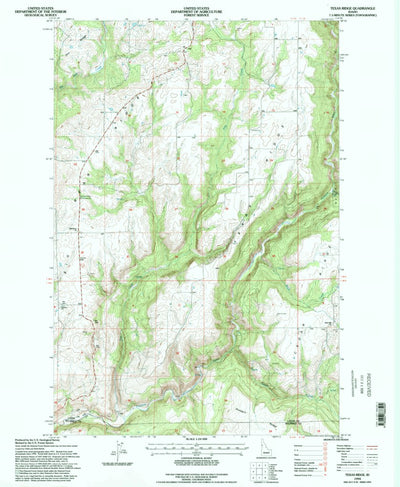 United States Geological Survey Texas Ridge, ID (1994, 24000-Scale) digital map