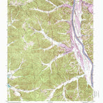 United States Geological Survey Tharpe, TN (1999, 24000-Scale) digital map